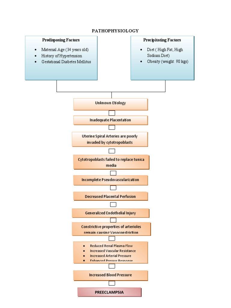 Preeclampsia Pathophysiology Overview | PDF