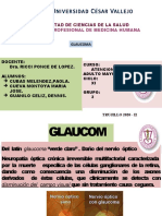 Glaucoma Aidm
