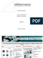 Agentes Biologicos ( Tatiana Nemojon Rojas ).docx