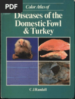 A Color Atlas Of Poultry Diseases By Jl Vegad Poultry - 