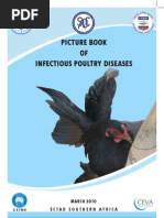 Picture Book of infectious Poultry Diseases