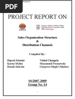 Project Report On: Sales Organization Structure & Distribution Channels