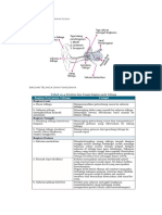 IPA Bagian Telinga Fungsinya 22 Juli 2020