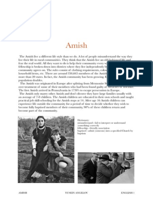 Реферат: Who Are The Amish Essay Research Paper