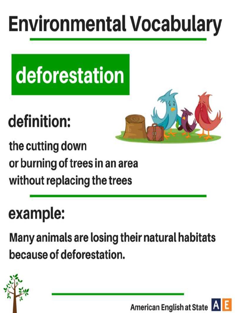Environmental Vocabulary Guide | PDF | Atmosphere Of Earth | Global Warming