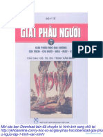Trịnh Văn Minh - Giải phẫu người tập 1 PDF