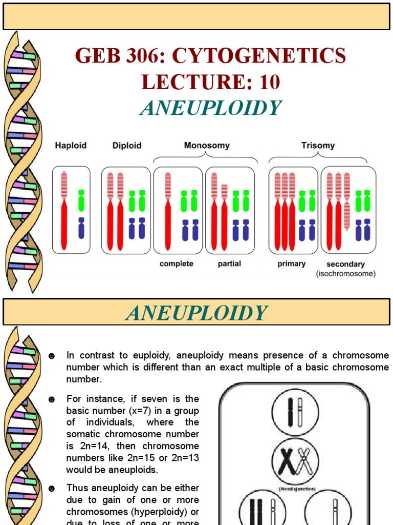 Geb 306: Cytogenetics: Aneuploidy | PDF | Ploidy | Genetic Disorder