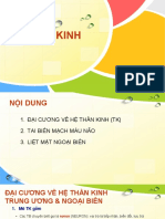 Đại cương hệ thần kinh