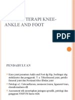 Manualtherapy Knee-Ankle and Foot