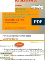 Fistulas Urogenitales
