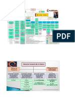 ESQUEMAS Estrucutura org. M. INTERIOR.pdf