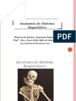 Aula de Sistema Esquelético - Anatomia Humana Nassau-Final