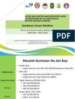 Gambaran Umum Pelatihan-Prof. Ovy-Edit 7 Sept '20 19.14 PDF