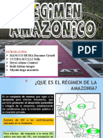 Régimen Amazonía y Zonas Altoandinas