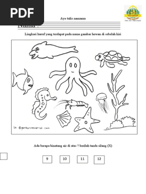 50 Gambar Hewan Air Untuk Anak Tk Gratis