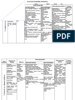 Model de Completare Plan de Ingrijire