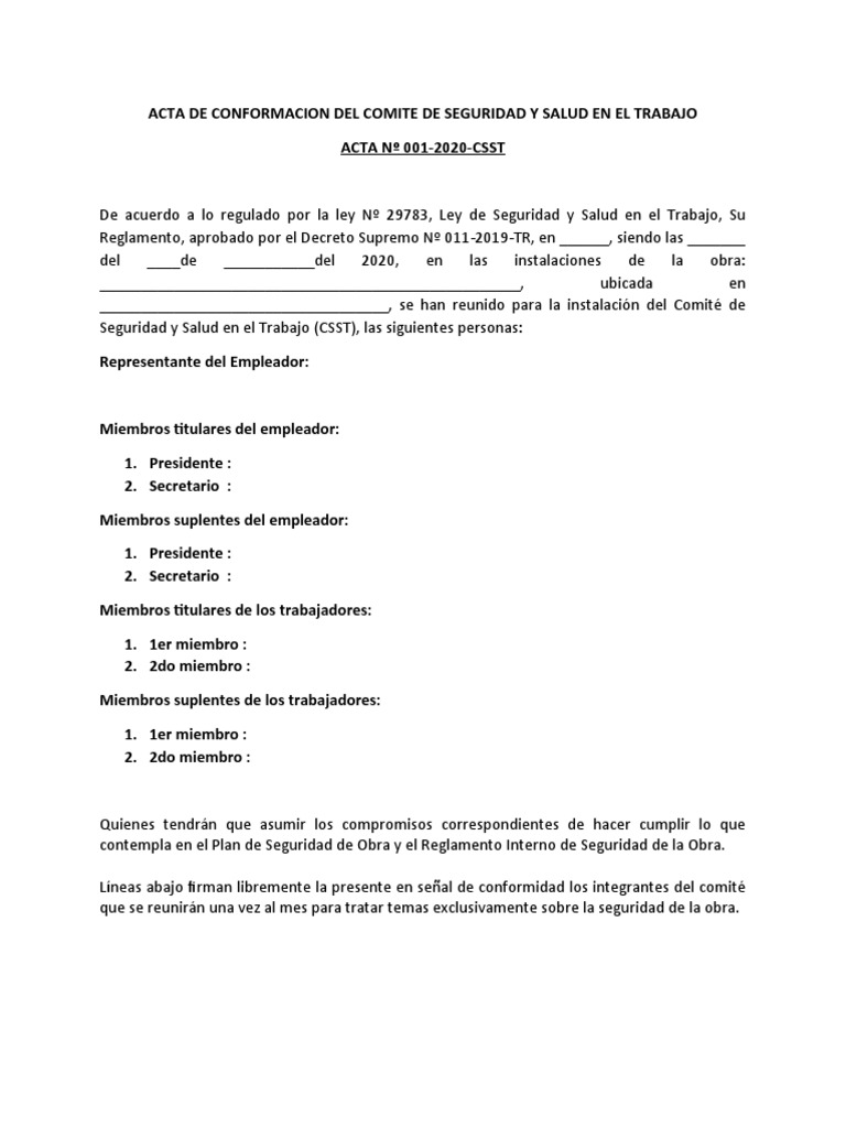 Acta de Conformacion Del CSST | PDF