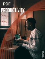 Maximize Productivity Ebook v3