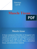 Lab 08 Muscle Tissue
