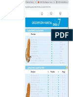 Descricion varietal del INIA7