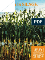 Leafy Corn Silage Info Guide
