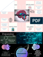 Esquema detallado Hipotalamo.pdf