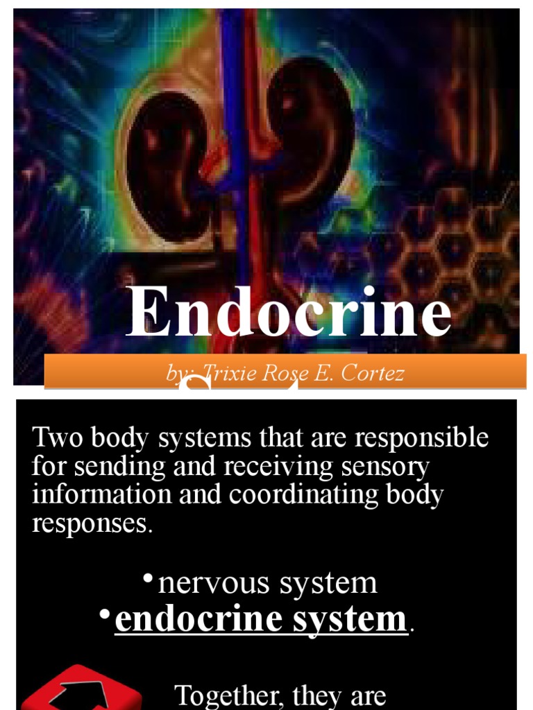 Overview of the Endocrine System | PDF | Adrenal Gland | Luteinizing ...