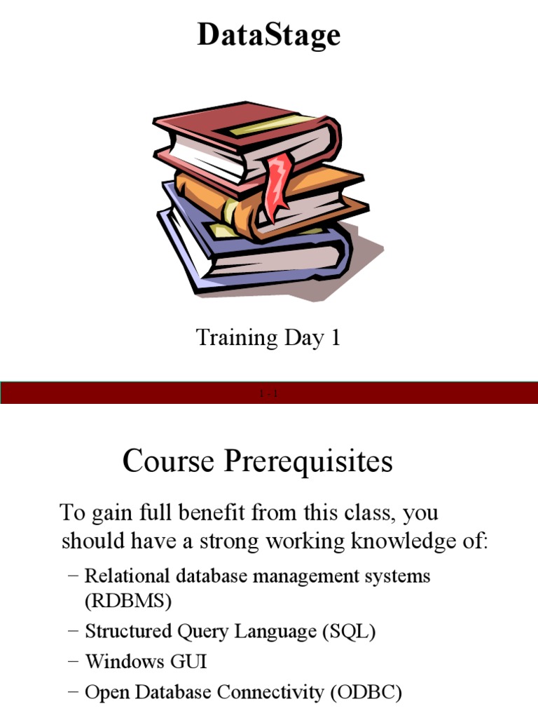 DataStage Administrator Training Overview | PDF | Database Transaction ...