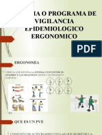 PVE Ergonomico