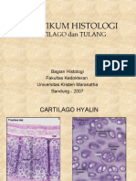 Praktikum Histologi: Cartilago Dan Tulang
