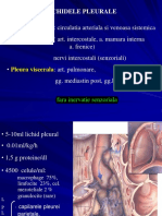 Curs 7- Revarsate pleurale