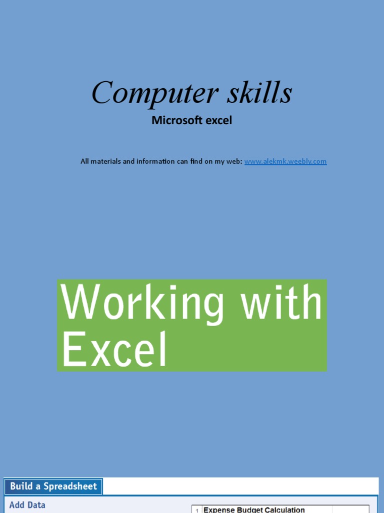 Excel Skills for Beginners | PDF
