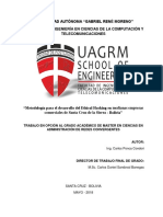 TFG Maestría Redes Convergentes PDF