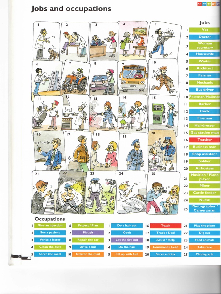 Overview of Jobs and Occupations | PDF