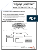 Formato. Acum. Ciencias Naturales