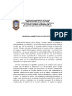 Ensayo Contaminación Ambiental