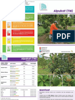 Brosur Program Pemupukan Alpukat TM