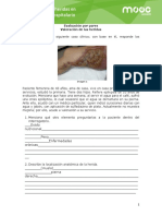 _Valoracion-de-las-heridas-Registro clínico Alexis T. (1)