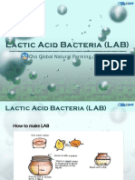 Lactic Acid BacteriaLAB PDF