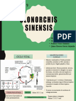 Clonorchis Sinensis
