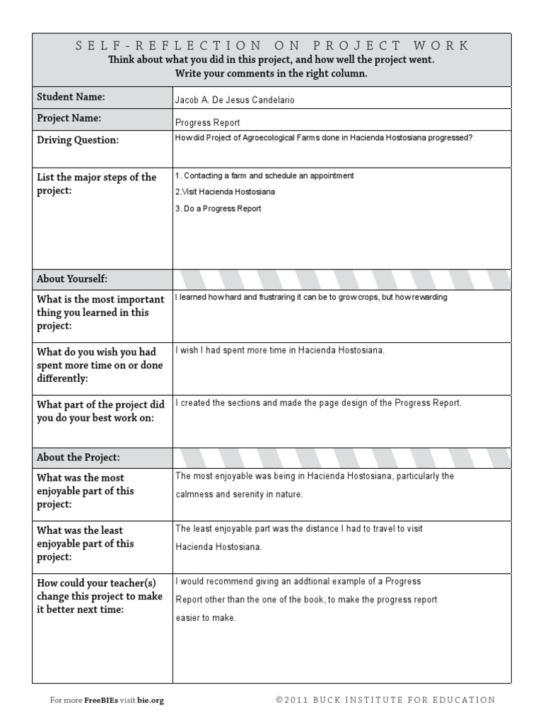 Self Reflection On Project | PDF