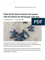 Cabo Verde Bate Recorde Com Quase 144 Mil Ninhos de Tartarugas Este Ano