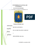 Informe Hec Ras