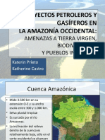 Los Proyectos Petroleros y Gasíferos en La Amazonia
