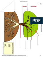 Jahron Benguche - Tree Parts Worksheet Fillable