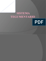 Sistema Tegumentario