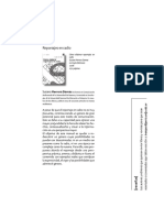 Documento Completo