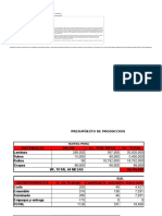 vsip.info_presupuesto-syso-1-pdf-free.pdf