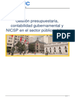 Gestin Presupuestaria Contabilidad Gubernamental y NICSP en El Sector Pblico Chileno