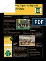 Desktop Publishing - Conway Tiger Volleyball